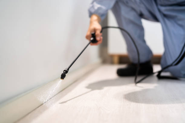 Licensed Termite Control service in Simonton Lake, IN - Nex Pest Control