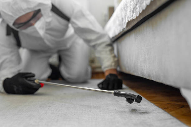 Professional Termite Control technician working in Simonton Lake, IN