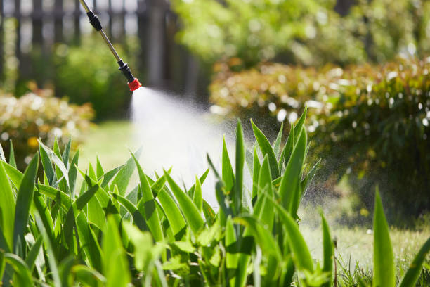 24/7 Emergency Termite Control experts in Simonton Lake, IN
